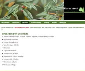 Screenshot Website: Rosenbrock Baumschulen